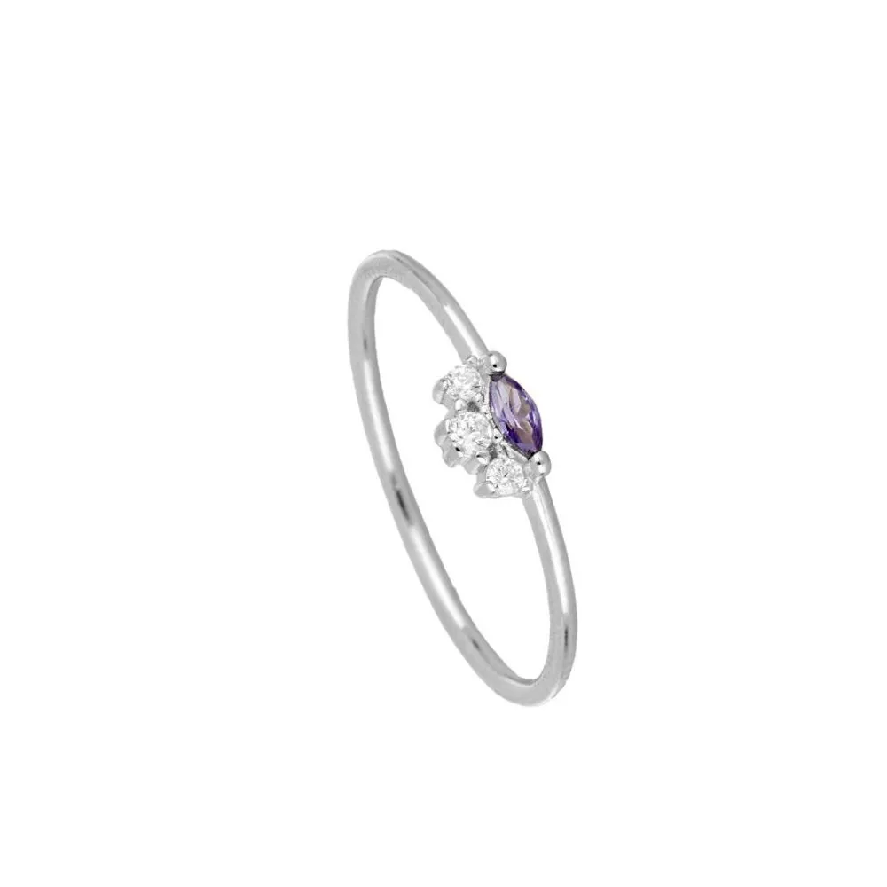 Anillo Holland